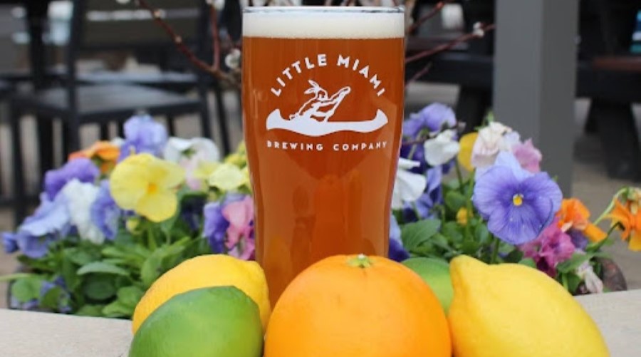 A Little Miami Brewing Company beer glass surrounded by vibrant pansies, lemons, lime, and budding branches.